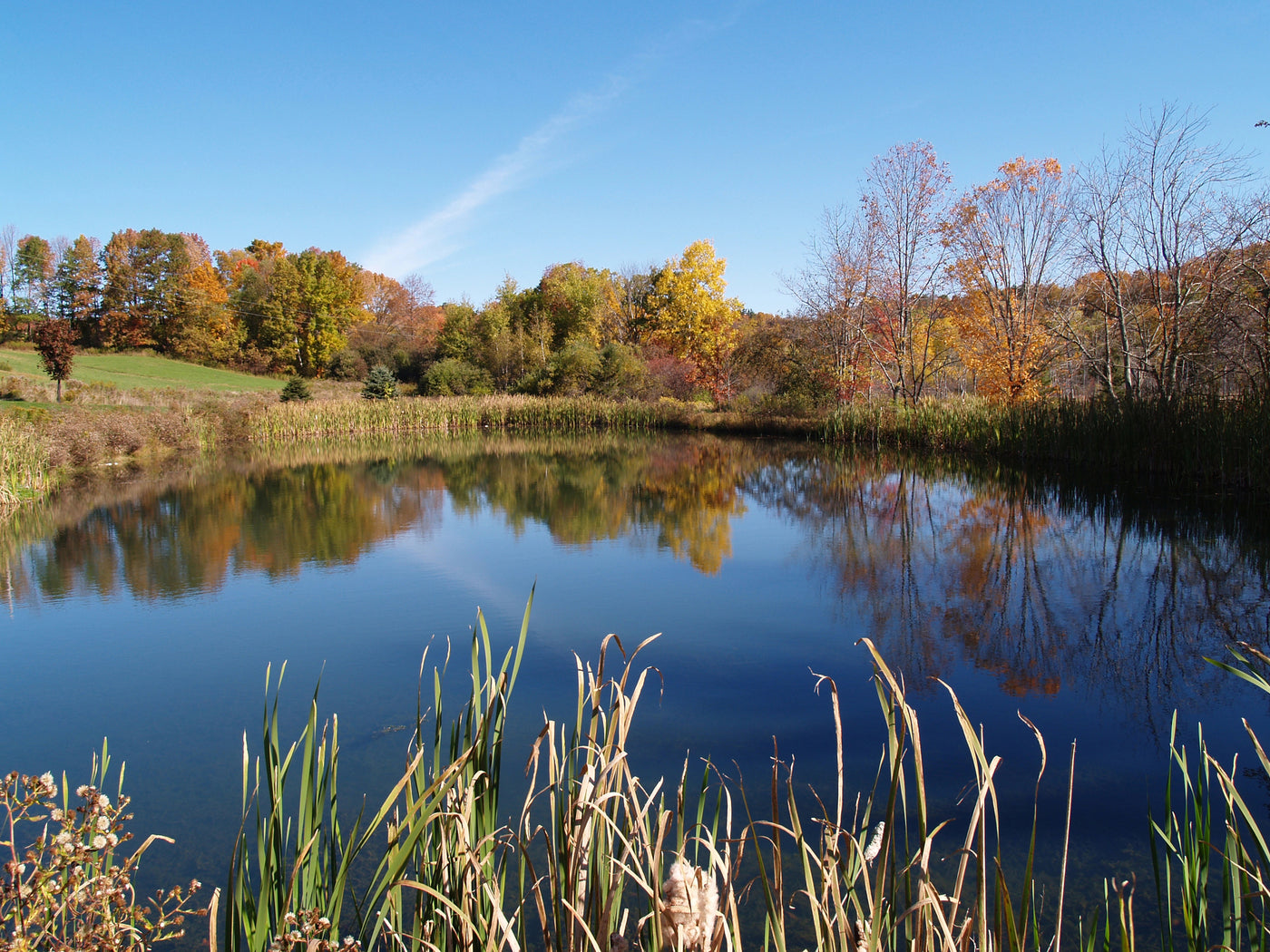 The Real Difference Between Lake and Ponds